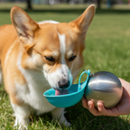 Collapsible Water Bottle