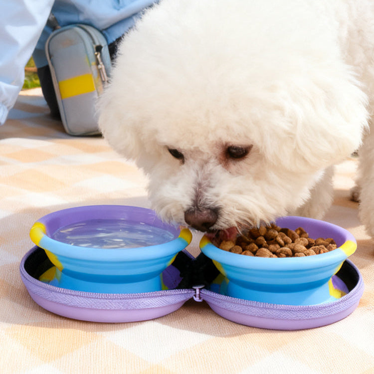 Mini Foldable Double Bowl