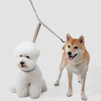 DualDog™ Dog Lead Splitter