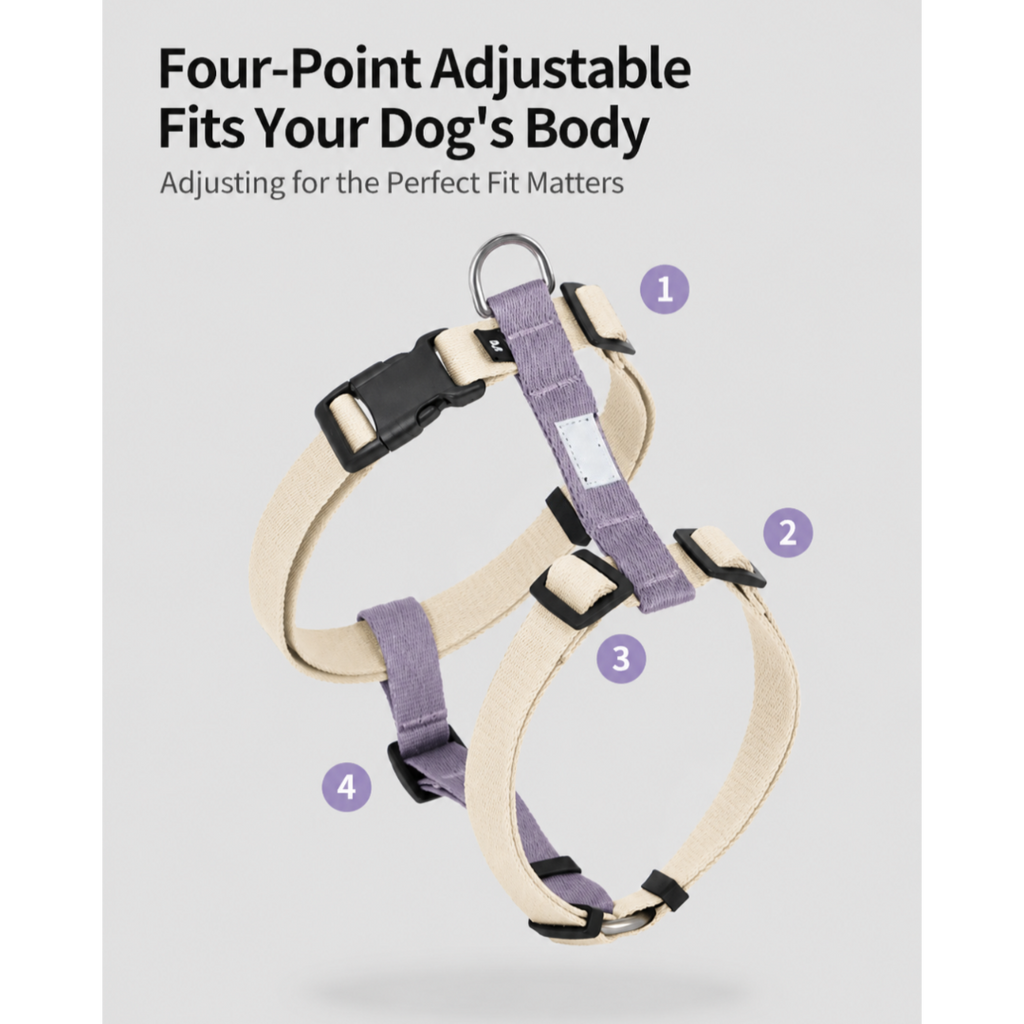 DailyWalk™ Harness & Lead Set