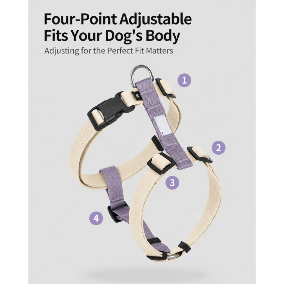 DailyWalk™ Harness & Lead Set