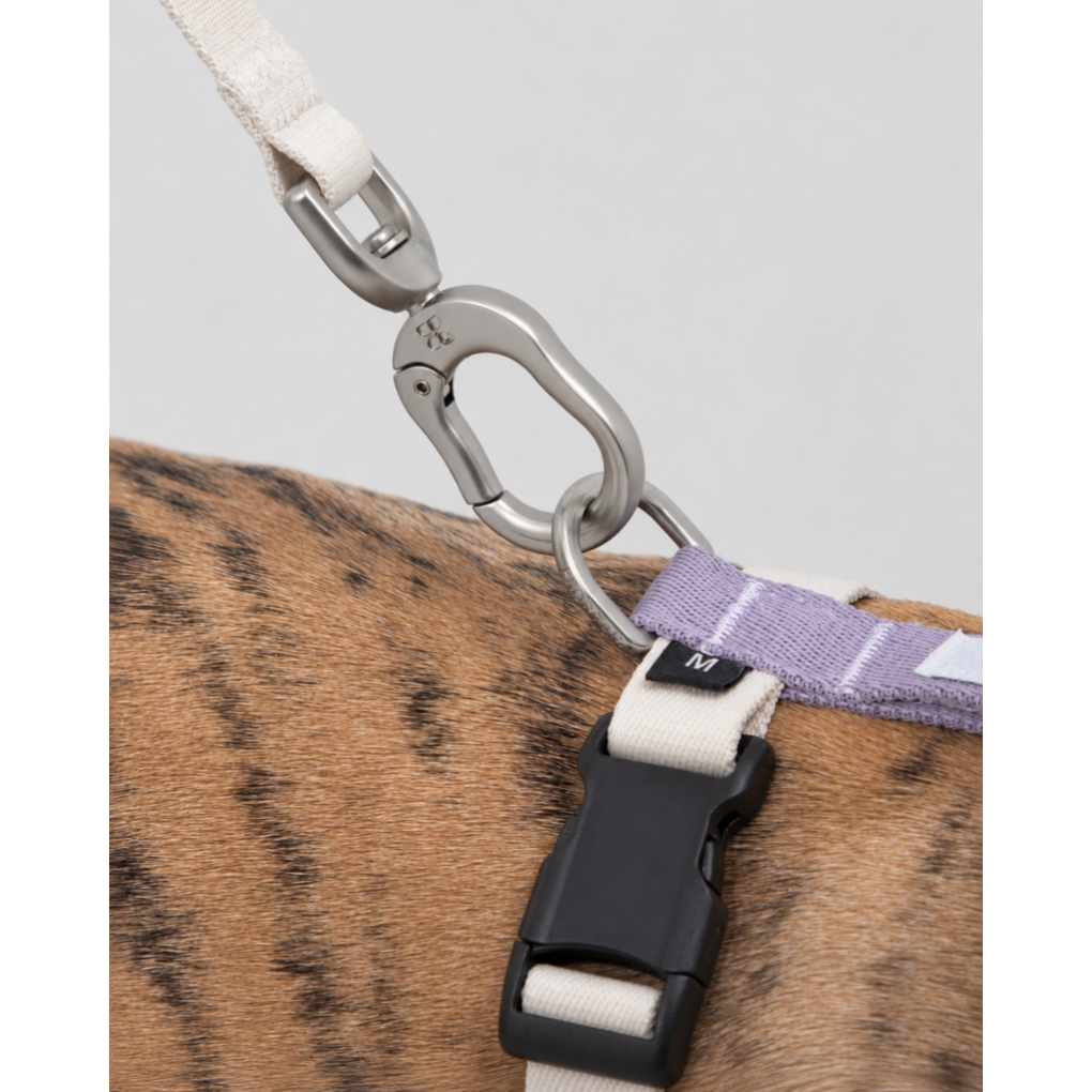 DailyWalk™ Harness & Lead Set