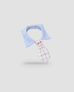 DapperPup™ Dog Tie Collar