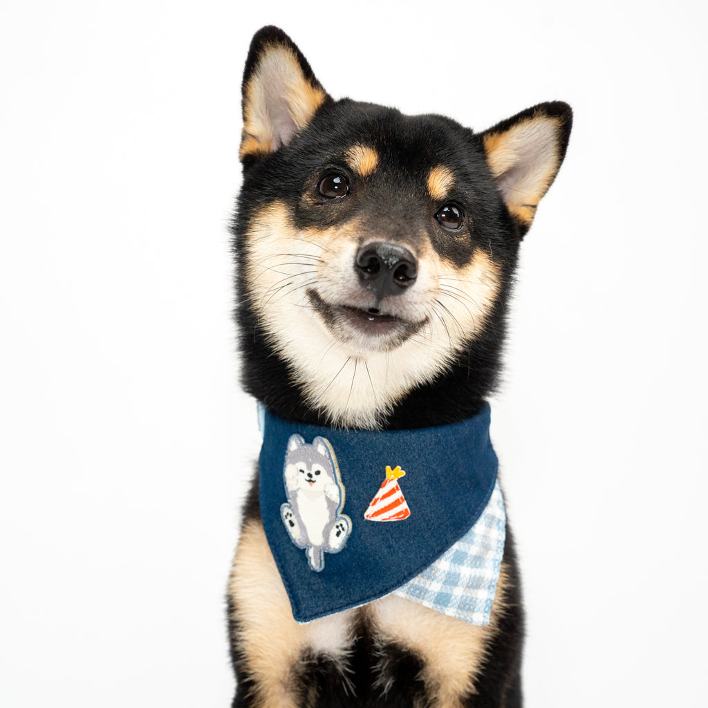 CozyPatch™ Embroidered Dog Bandana