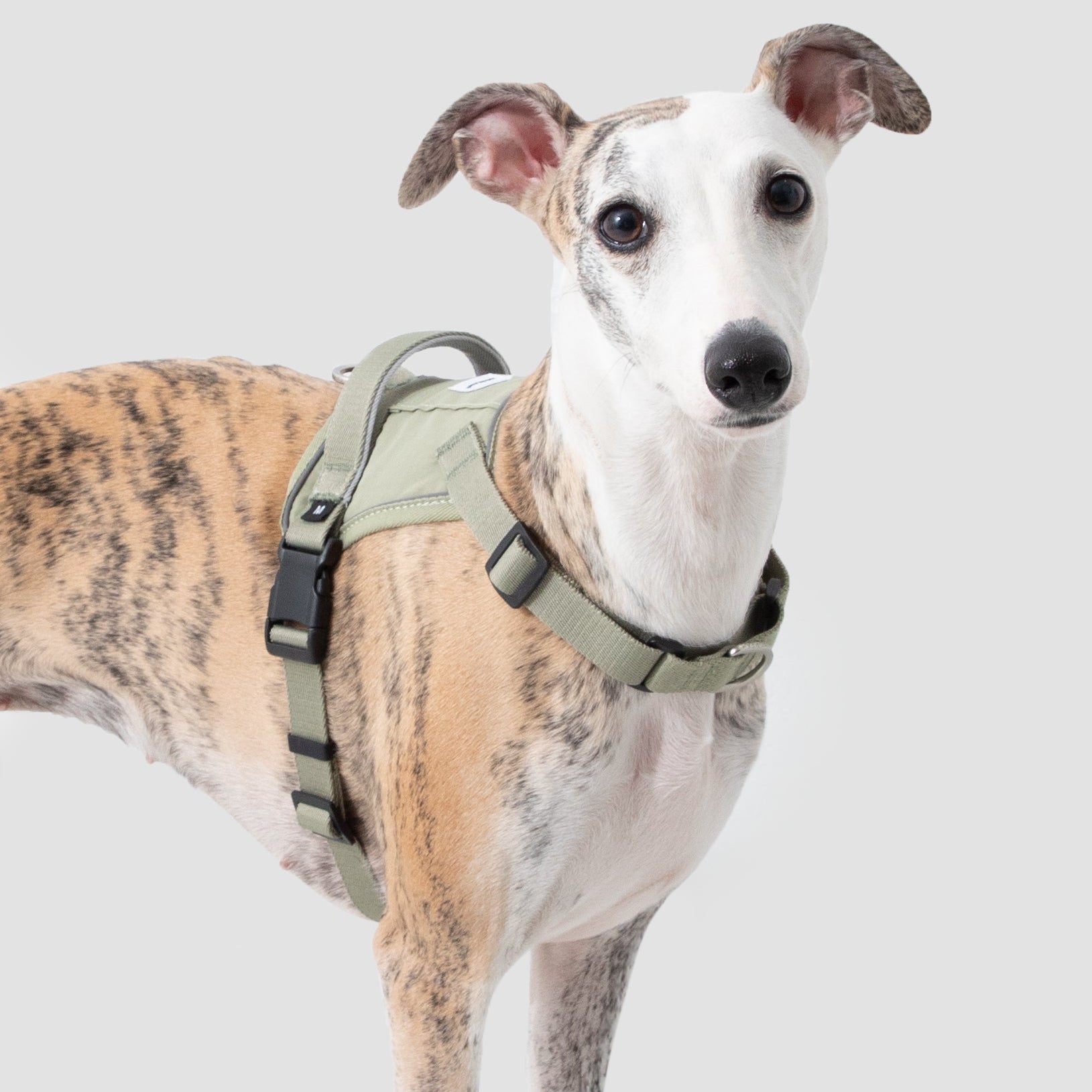 SecureFit™ No-Pull Dog Harness