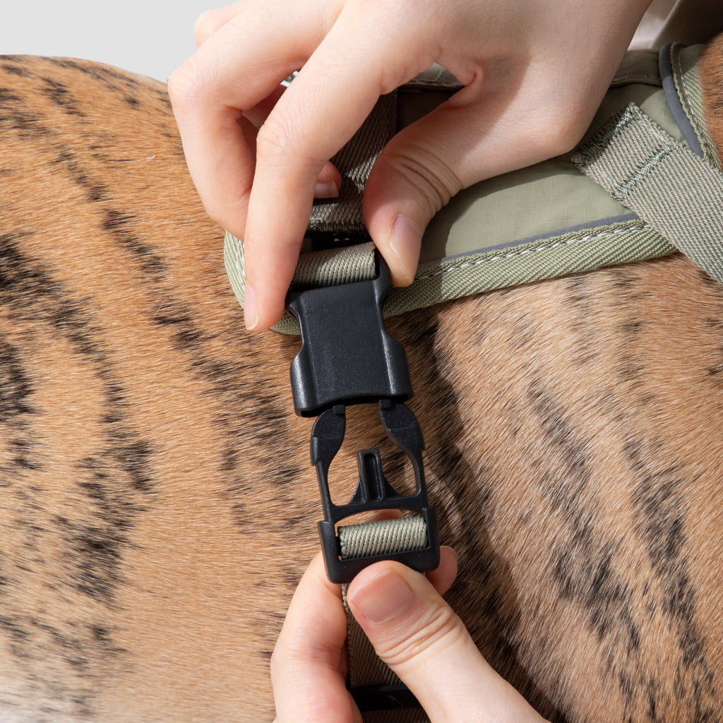 SecureFit™ No-Pull Dog Harness