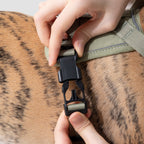 SecureFit™ No-Pull Dog Harness
