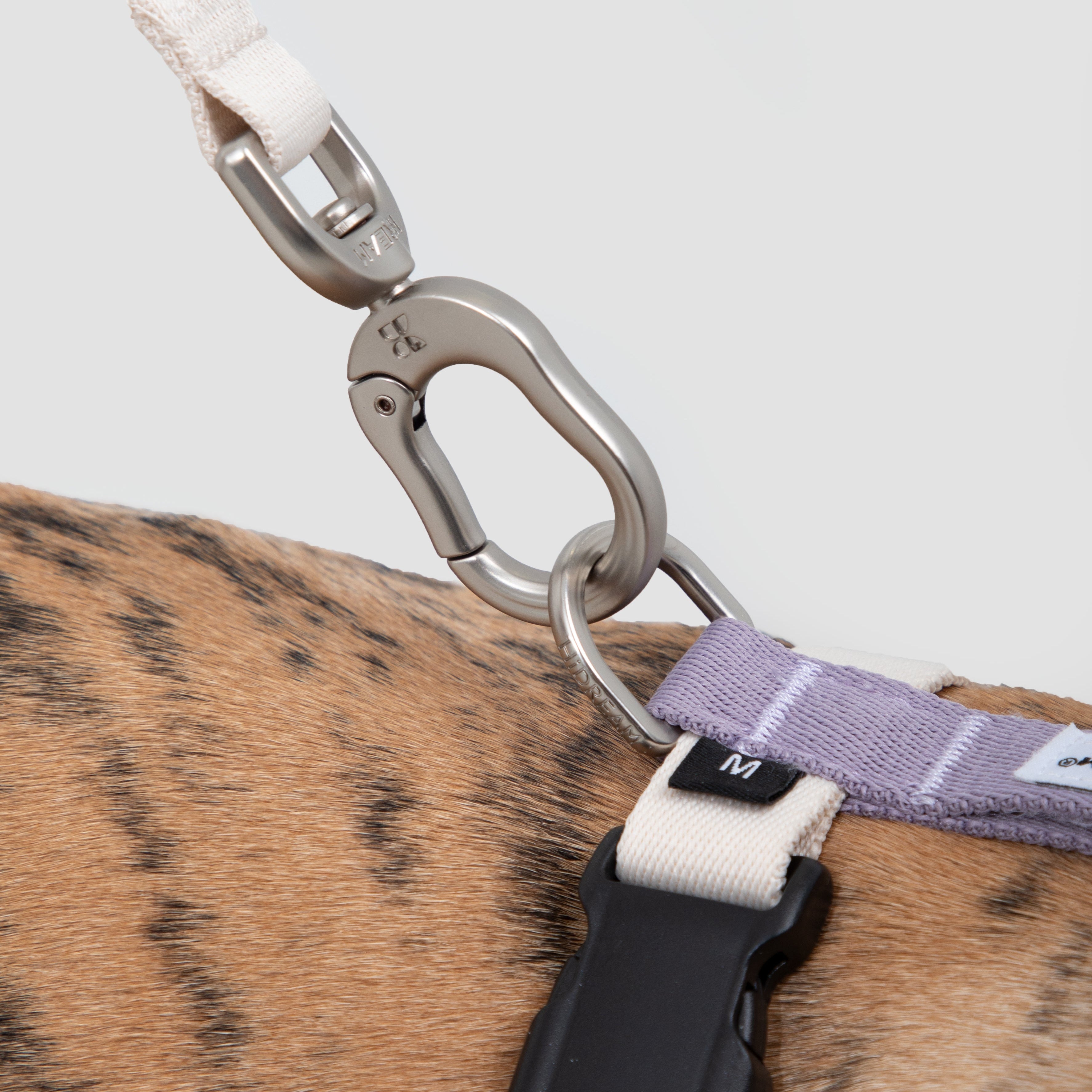 DailyWalk™ Harness & Lead Set