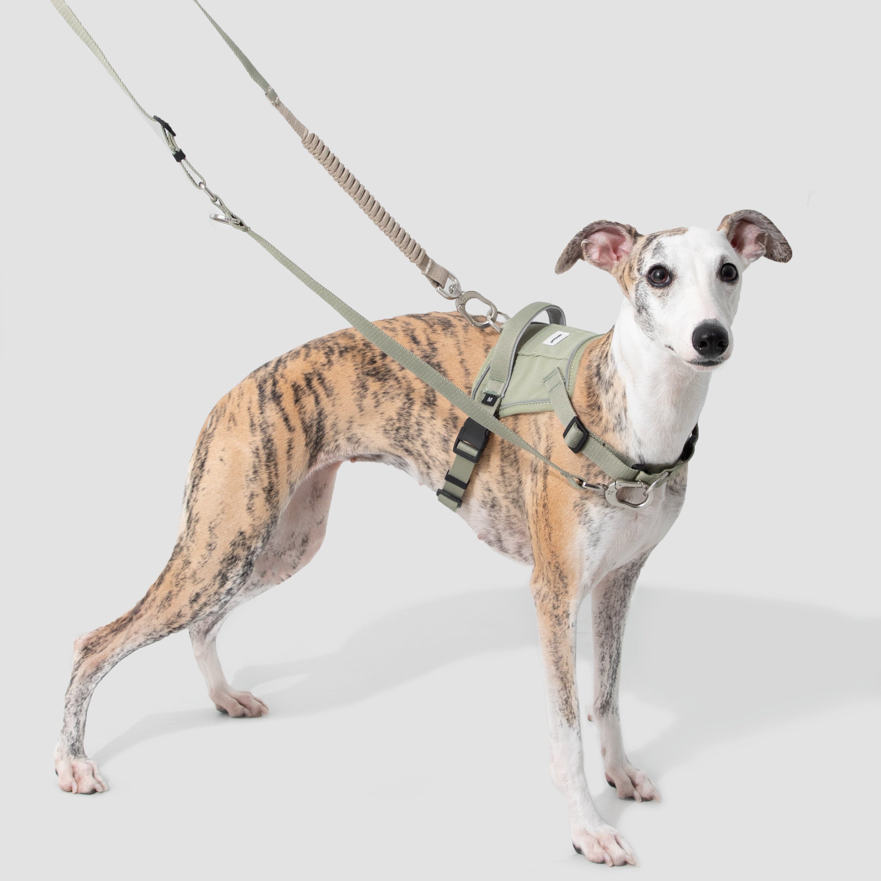 SecureFit™ No-Pull Dog Harness