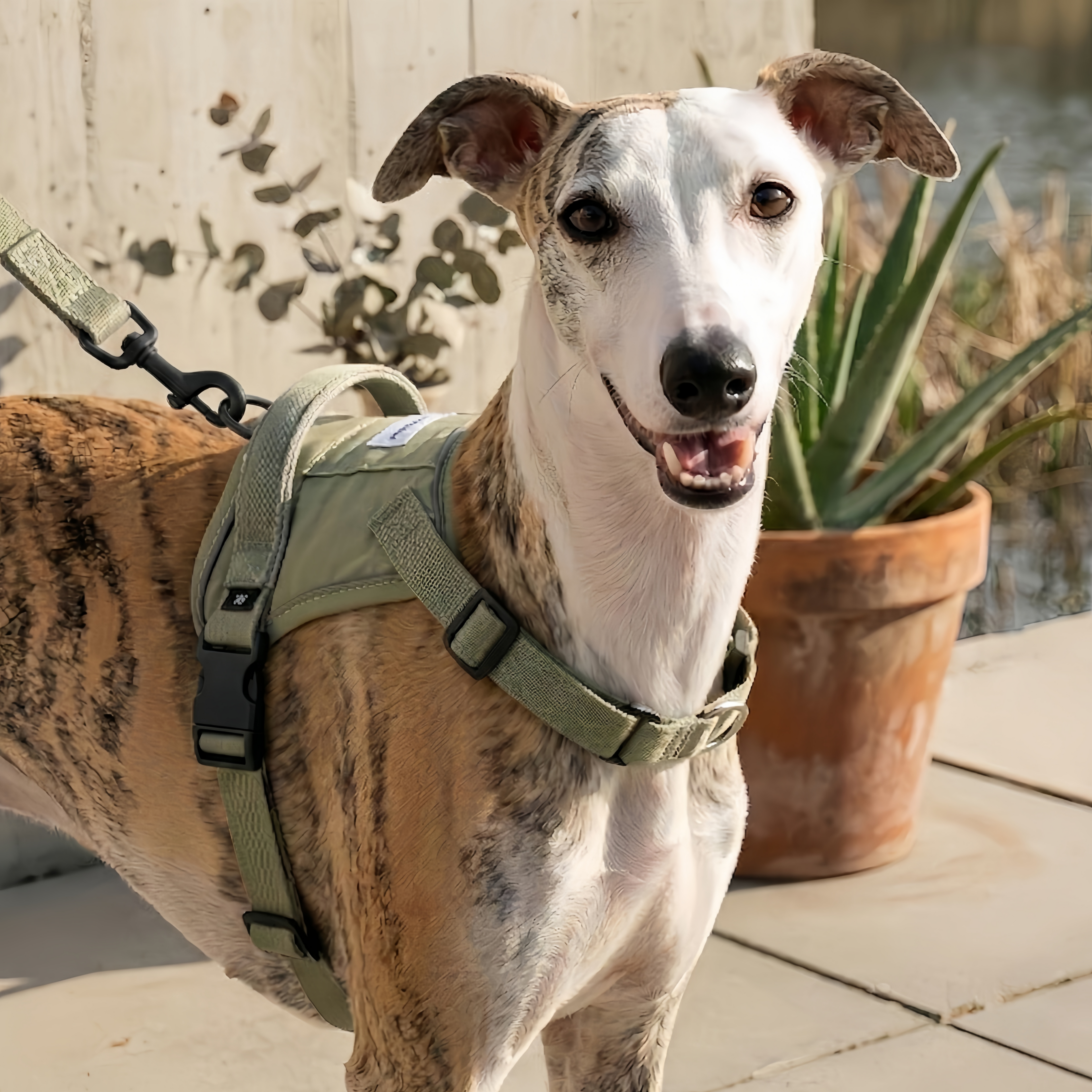 SecureFit™ No-Pull Dog Harness