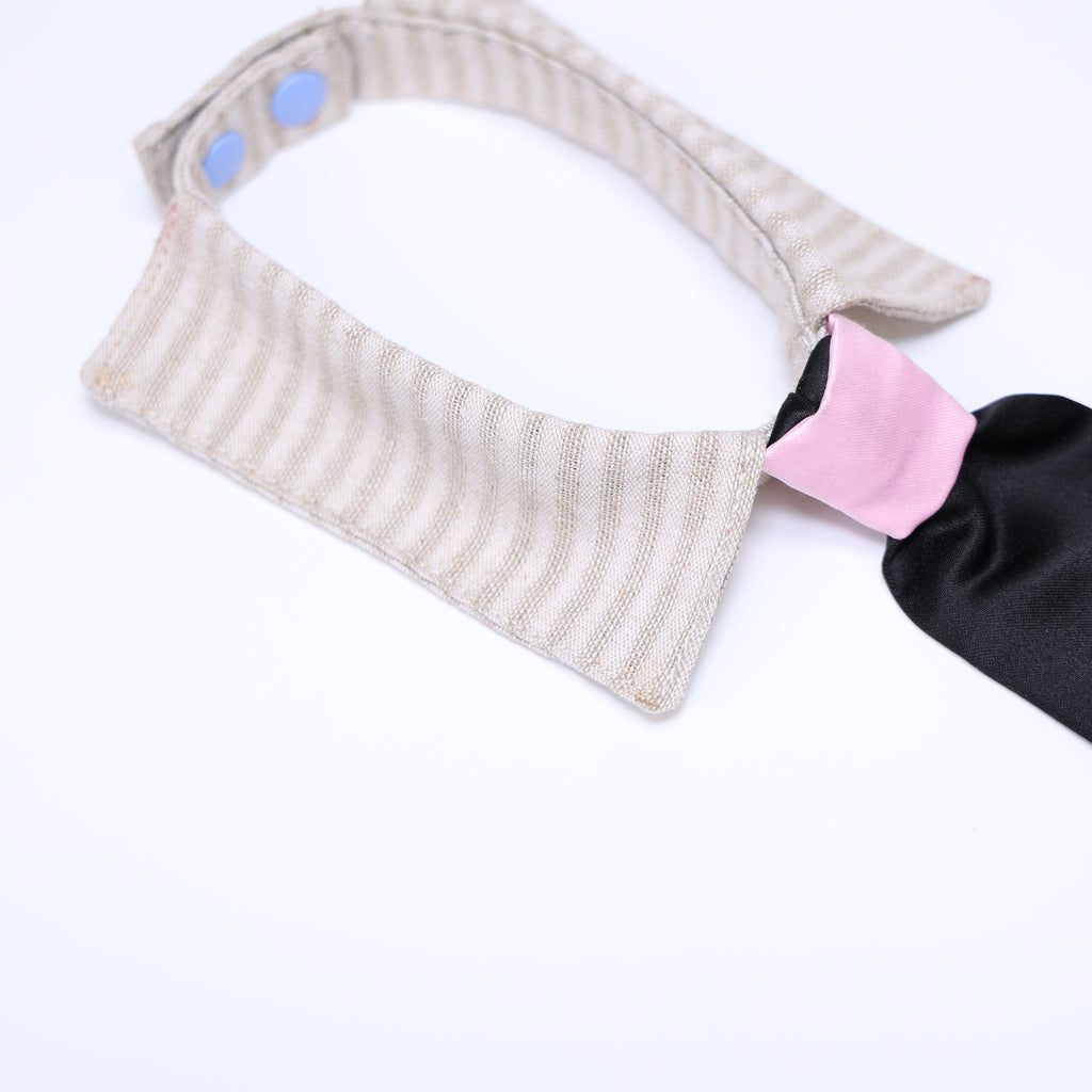 DapperPup™ Dog Tie Collar