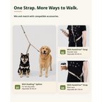 EasyWalk™ Shock-Absorbing Lead