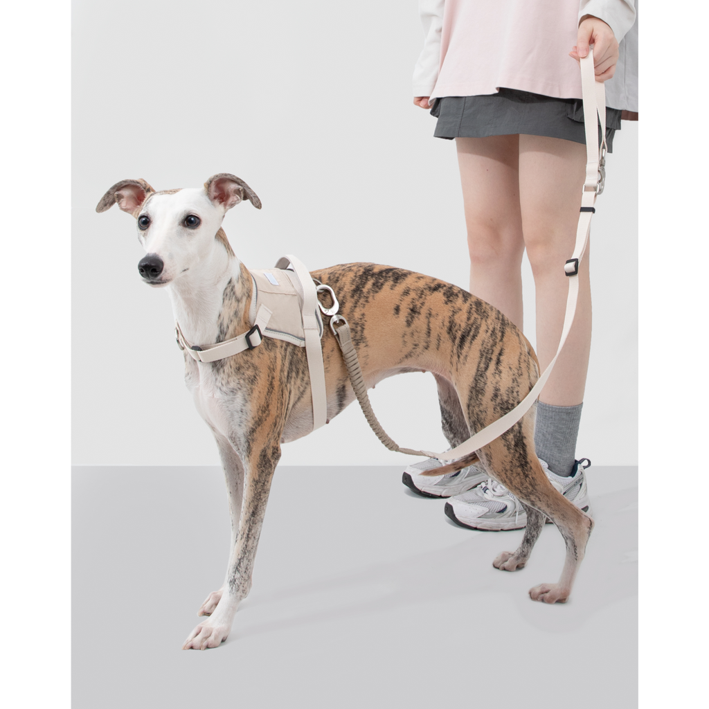 EasyWalk™ Shock-Absorbing Lead