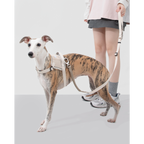 EasyWalk™ Shock-Absorbing Lead