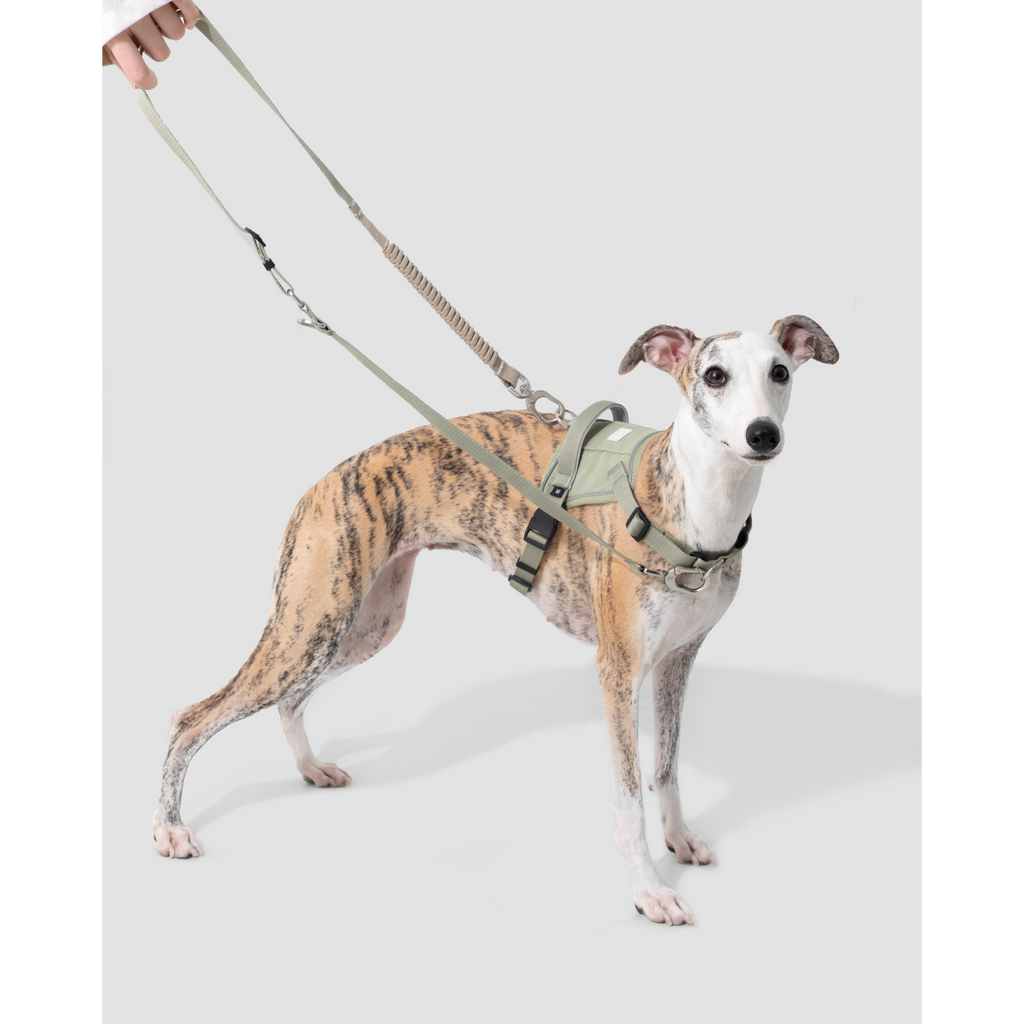 EasyWalk™ Shock-Absorbing Lead
