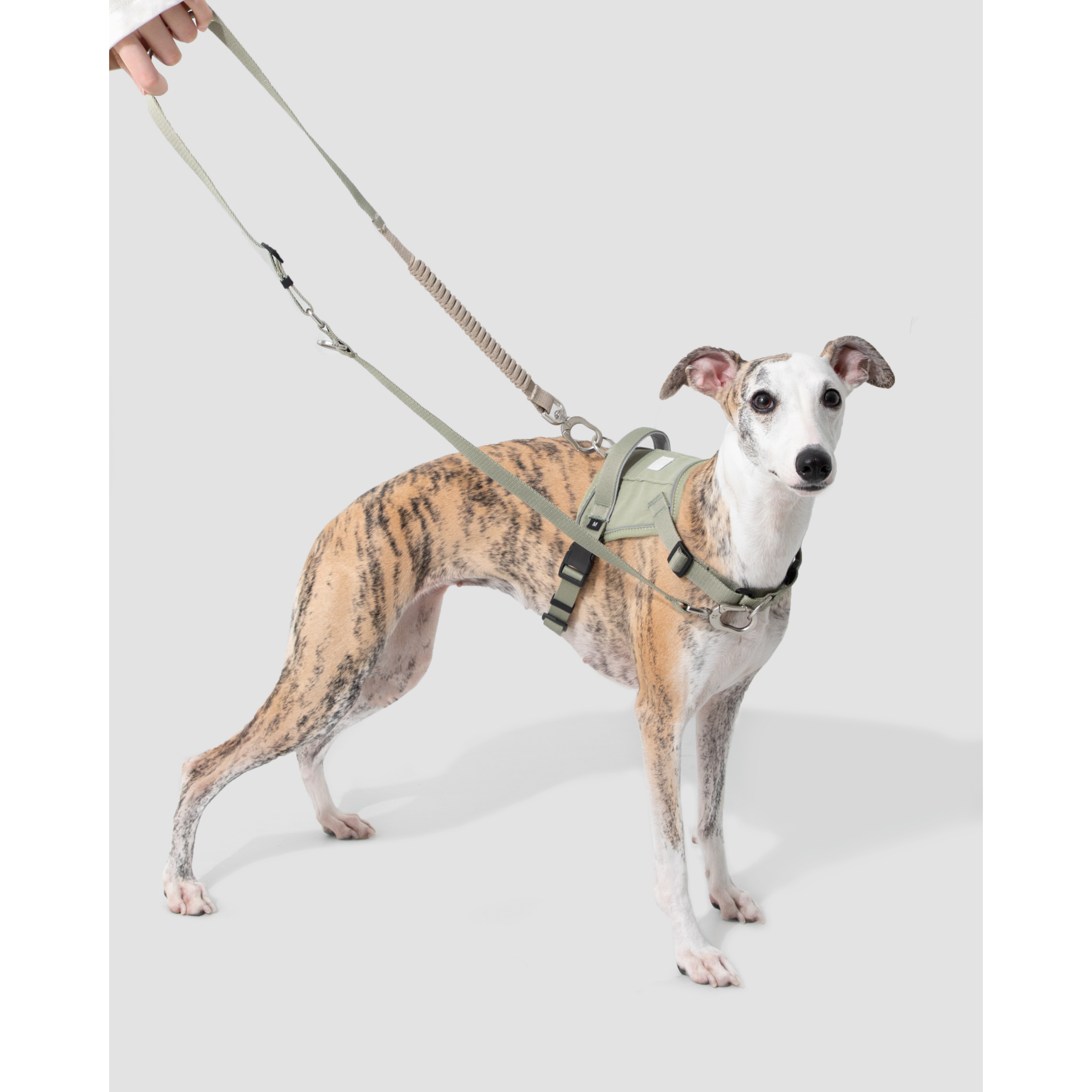 EasyWalk™ Shock-Absorbing Lead