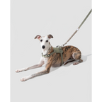 EasyWalk™ Shock-Absorbing Lead