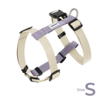 DailyWalk™ Harness & Lead Set
