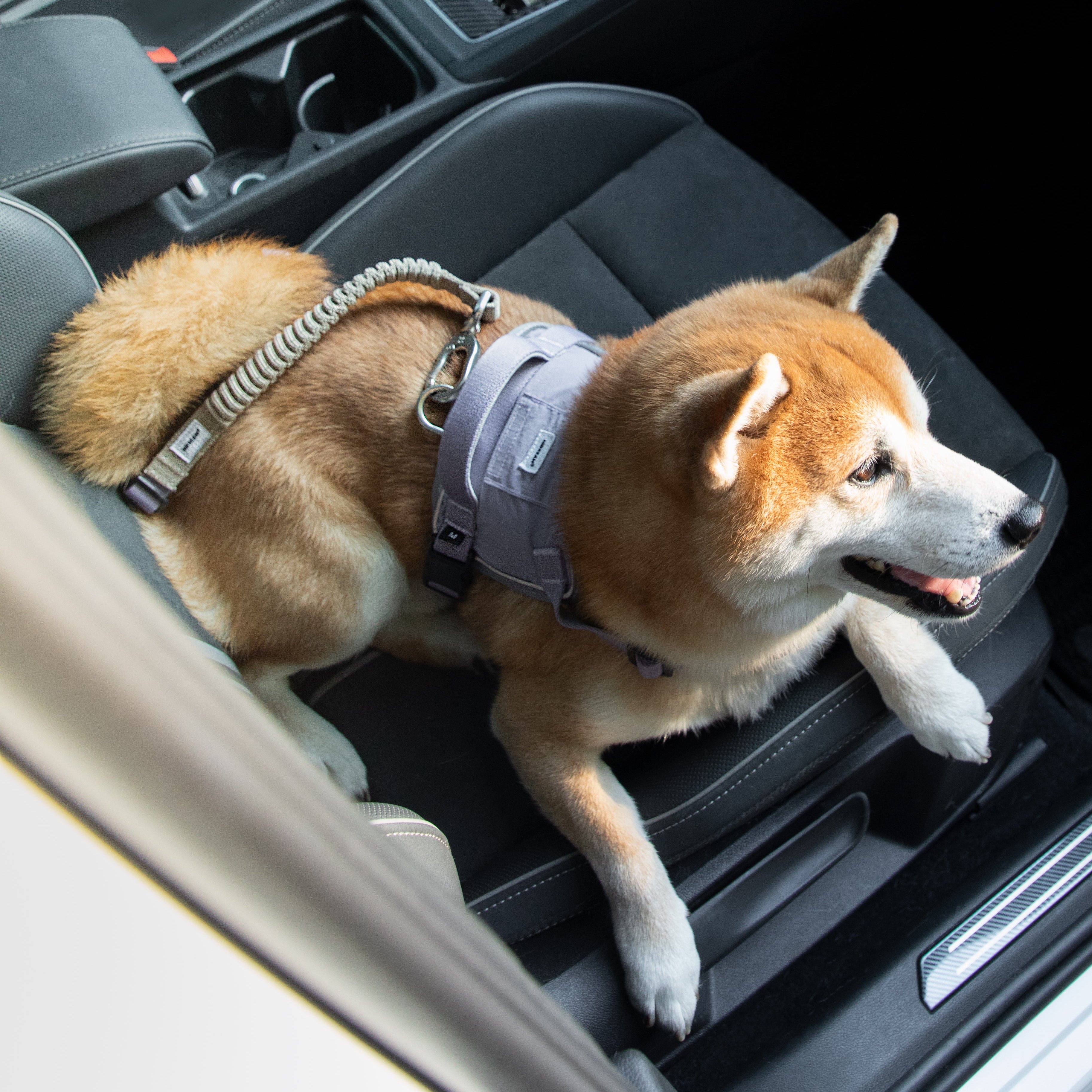 SafeRide™ Dog Seat Belt