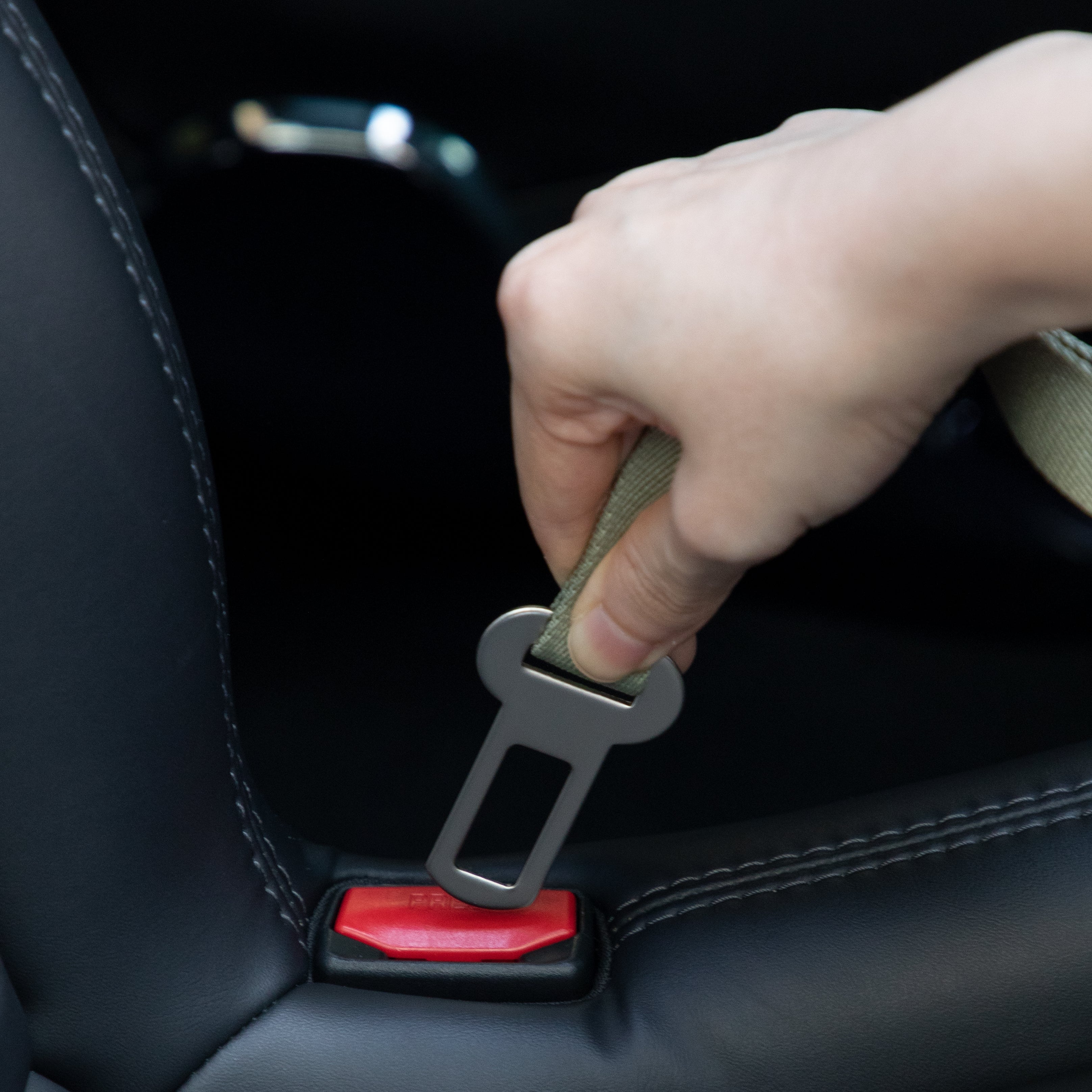 SafeRide™ Dog Seat Belt