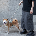 SafeRide™ Dog Seat Belt