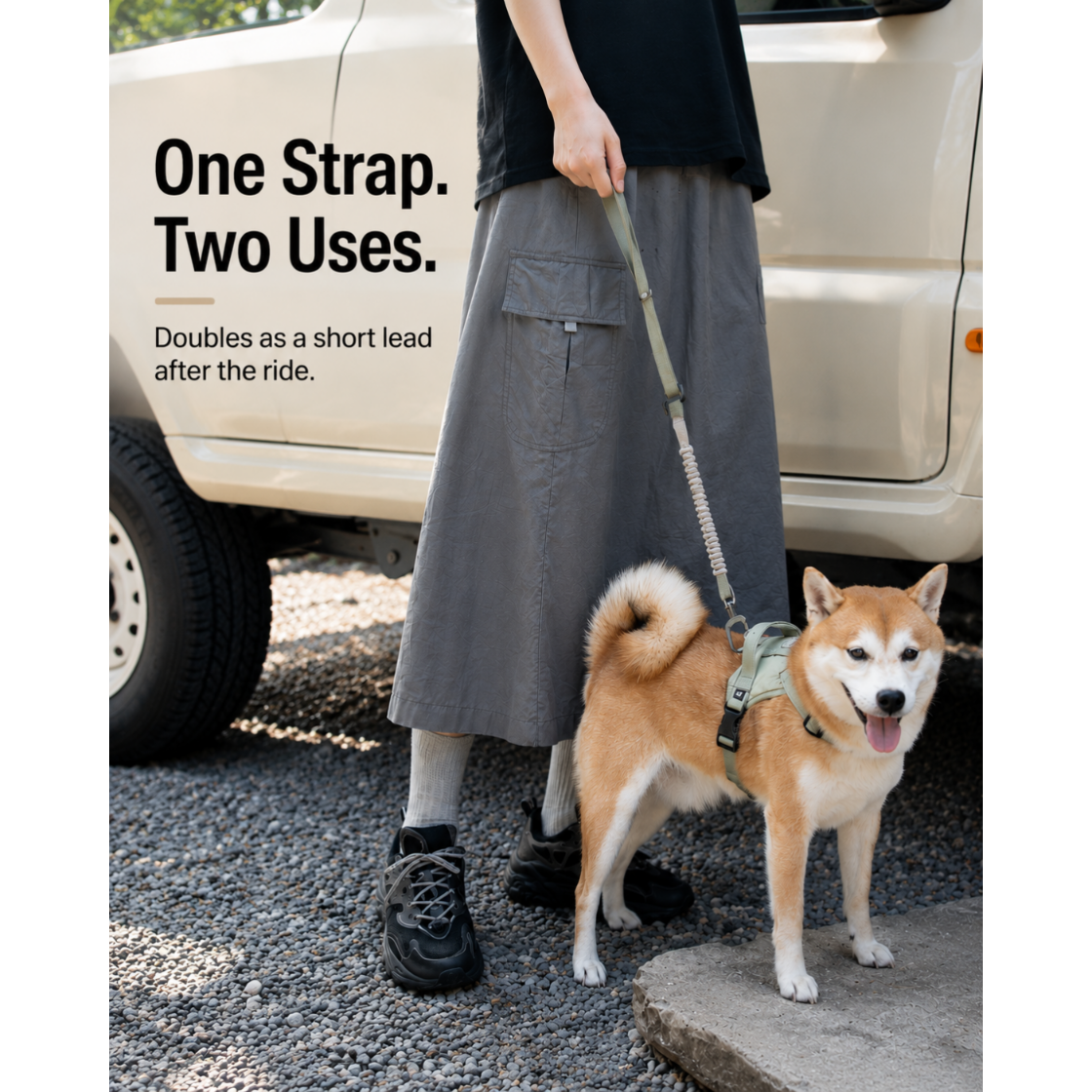 SafeRide™ Dog Seat Belt
