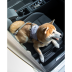 SafeRide™ Dog Seat Belt