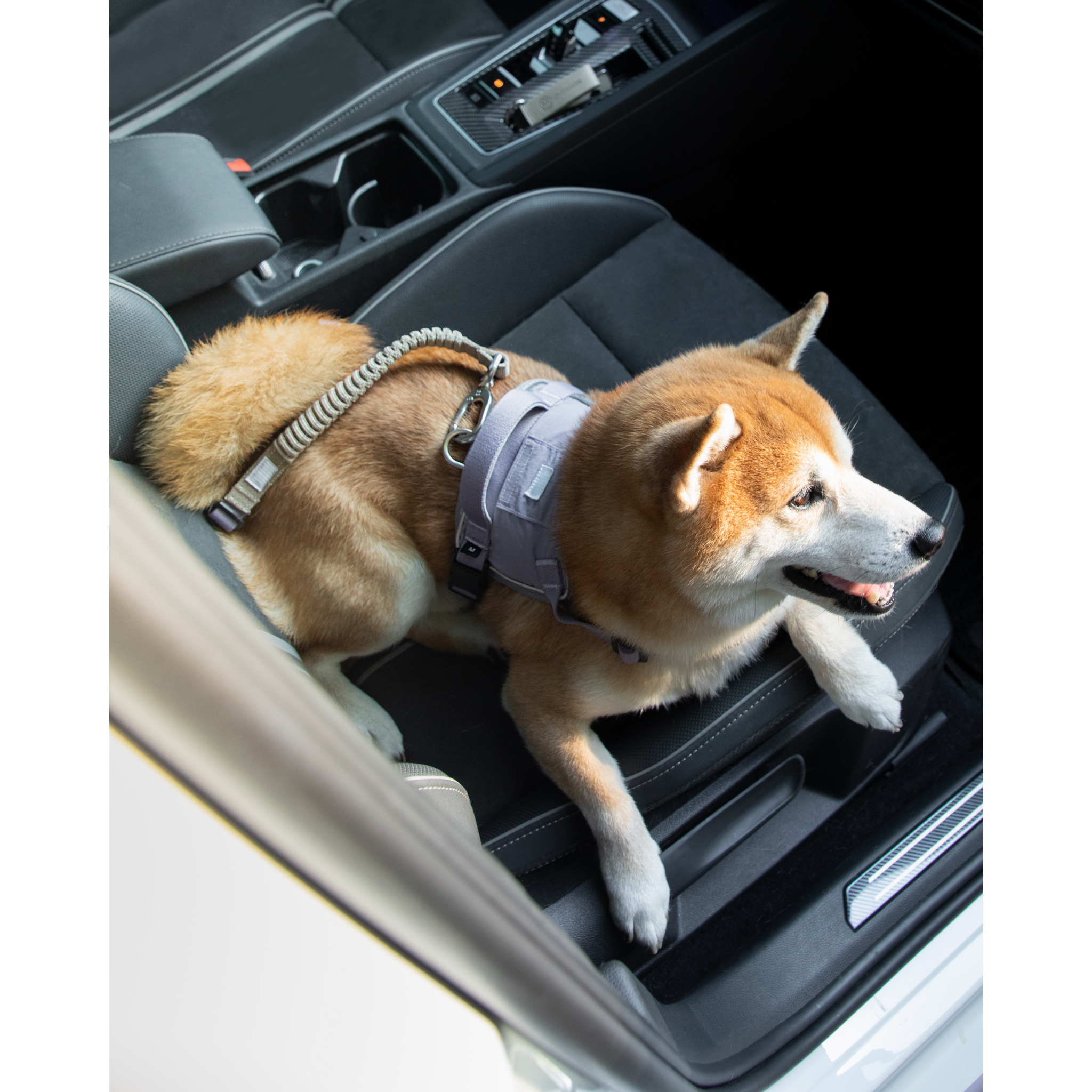 SafeRide™ Dog Seat Belt