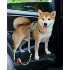 SafeRide™ Dog Seat Belt