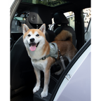 SafeRide™ Dog Seat Belt