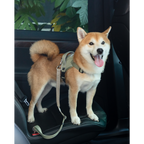 SafeRide™ Dog Seat Belt