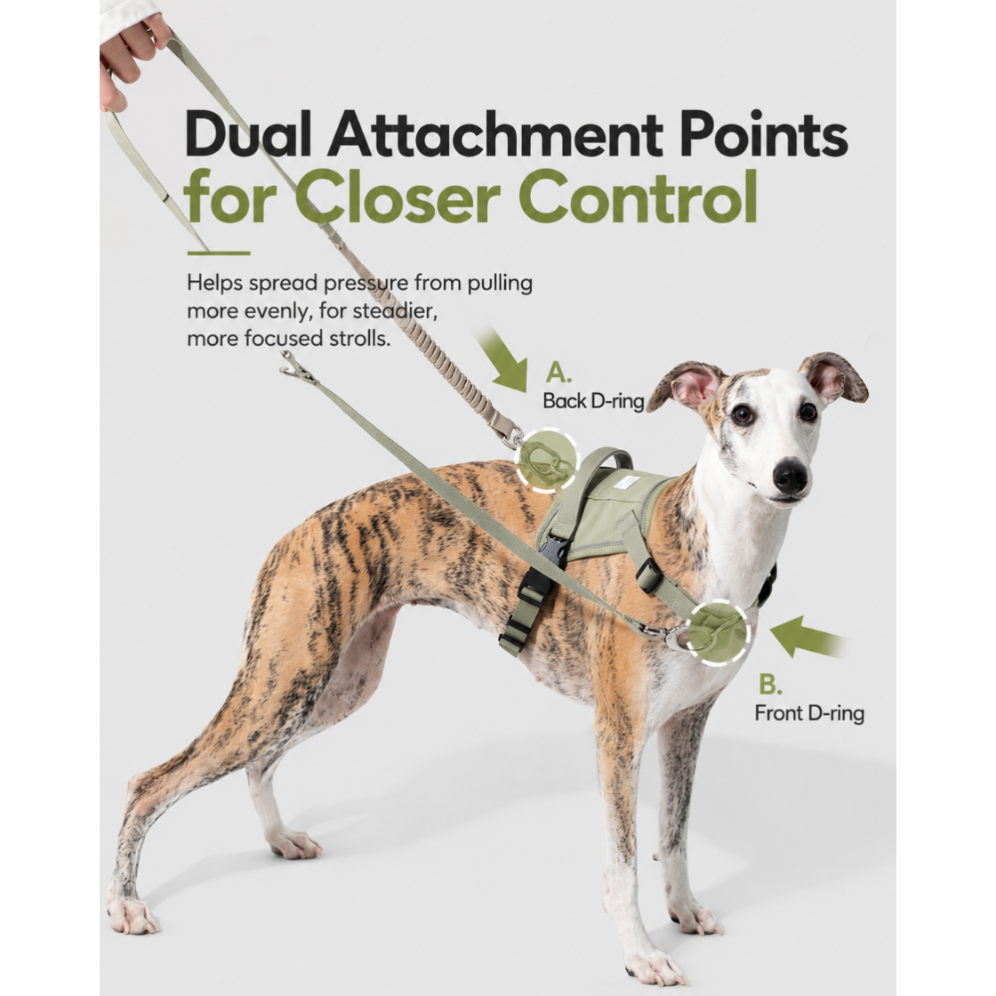 SecureFit™ No-Pull Dog Harness