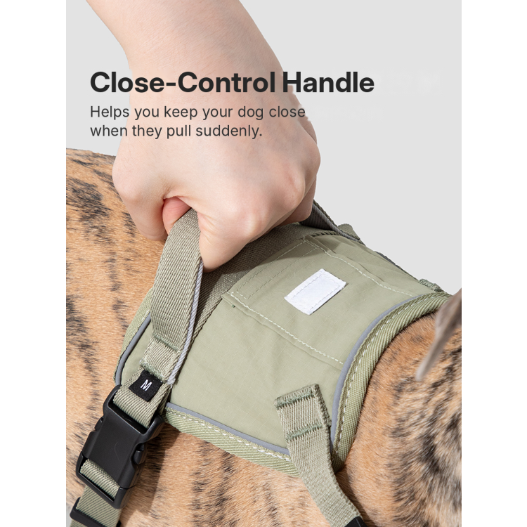 SecureFit™ No-Pull Dog Harness