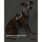 SecureFit™ No-Pull Dog Harness
