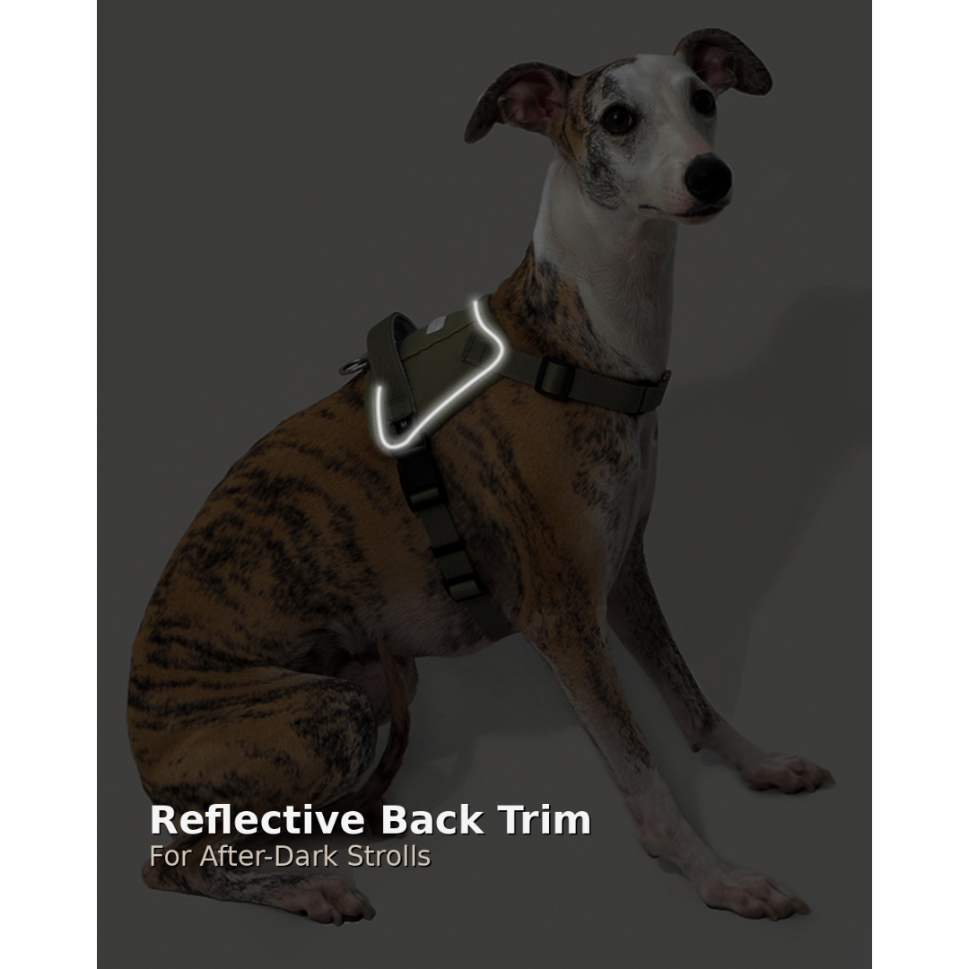 SecureFit™ No-Pull Dog Harness