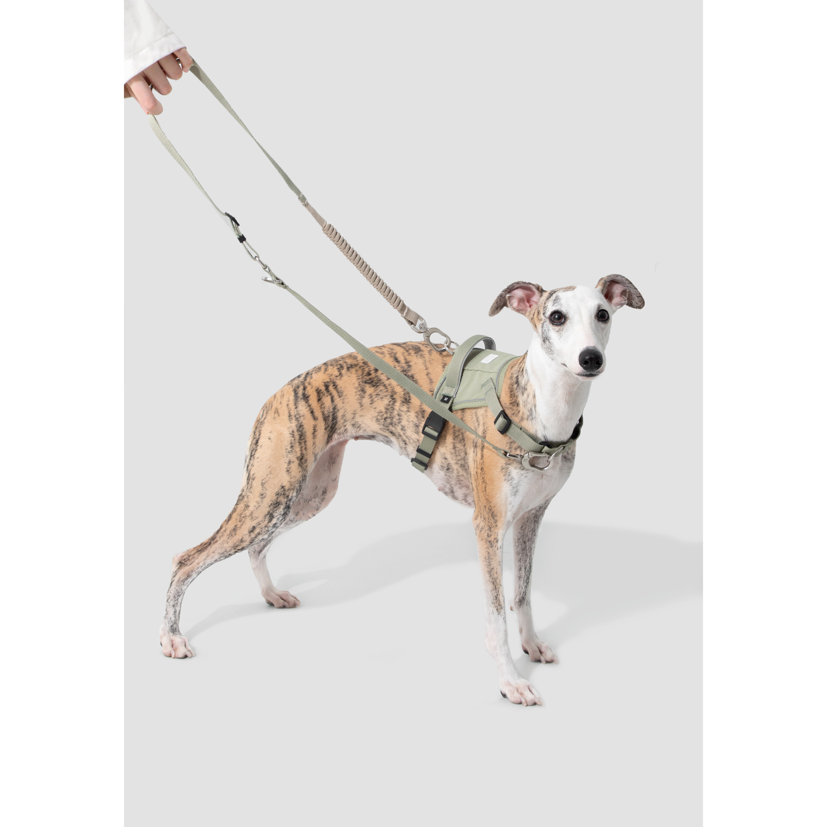 SecureFit™ No-Pull Dog Harness