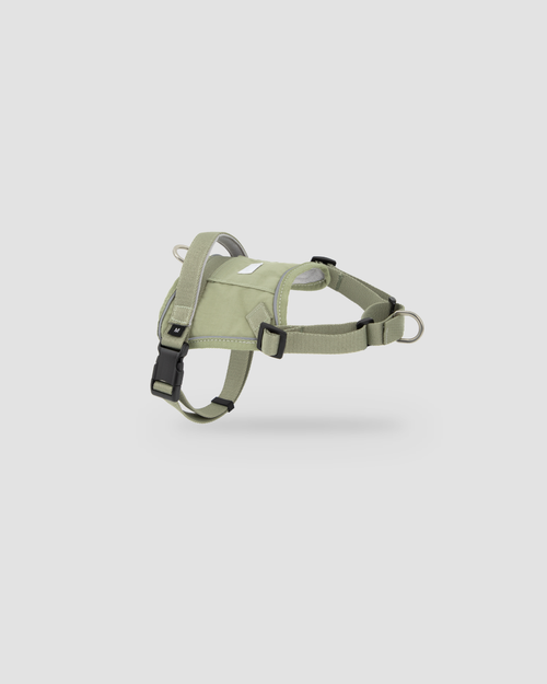 SecureFit™ No-Pull Dog Harness