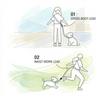 HandsFree™ Dog Walking Belt